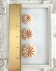 Gerber & Daisy 6 Cutters Kit